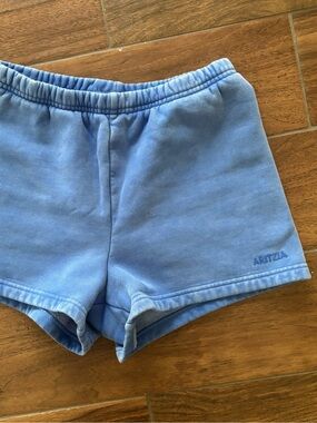 aritzia shorts